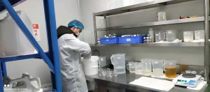 investigación de 10 fórmulas